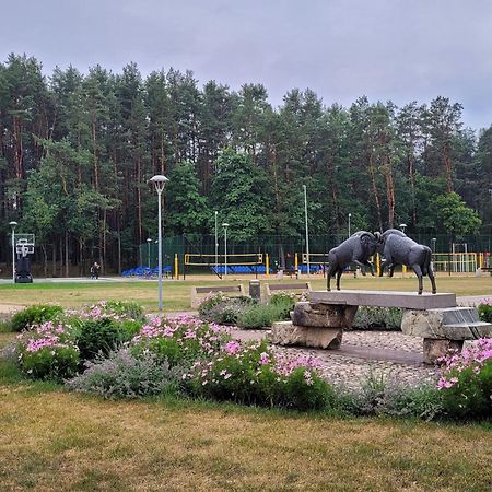 Chalet Villa Rex Druskininkai Eksteriør bilde