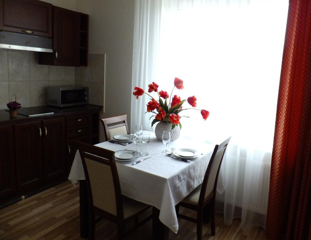 Chalet Villa Rex Druskininkai Rom bilde